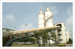 Solidification Facilities