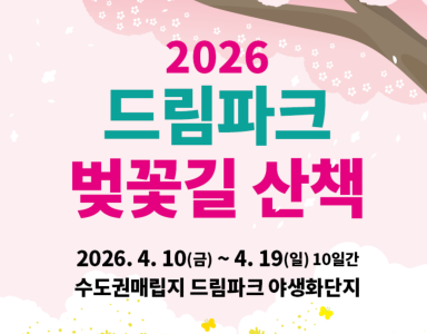 드림파크 야생화 축제